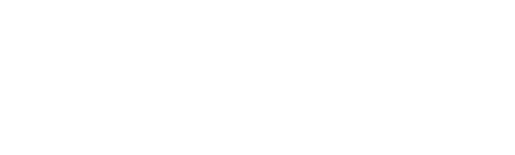 LM_WebLogo (1060 x 320 px)